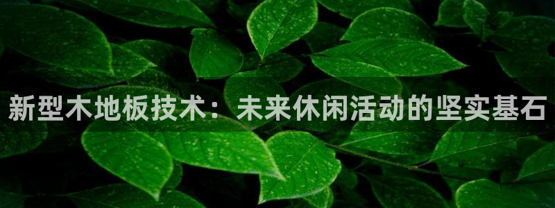 必一运动app：新型木地板技术：未来休闲活动的坚实基石