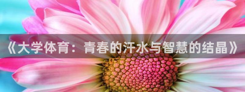 bsports必一运动：《大学体育：青春的汗水与智慧的结晶》