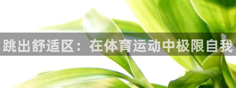 bsports官网 必一运动：跳出舒适区：在体育运动中极限自我