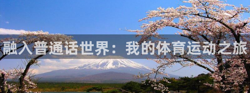 必一运动体育官网入口
