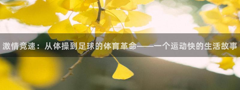 必一运动官网：激情竞速：从体操到足球的体育革命——一个运动快的生活故事