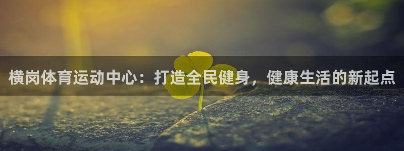 bsports必一运动：横岗体育运动中心：打造全民健身，健康生活的新起点