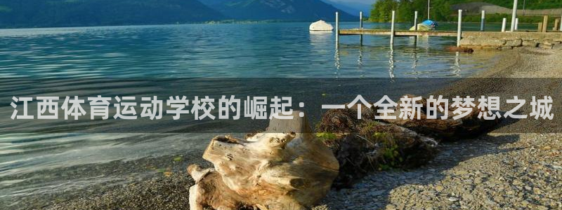 bsports官网 必一运动
