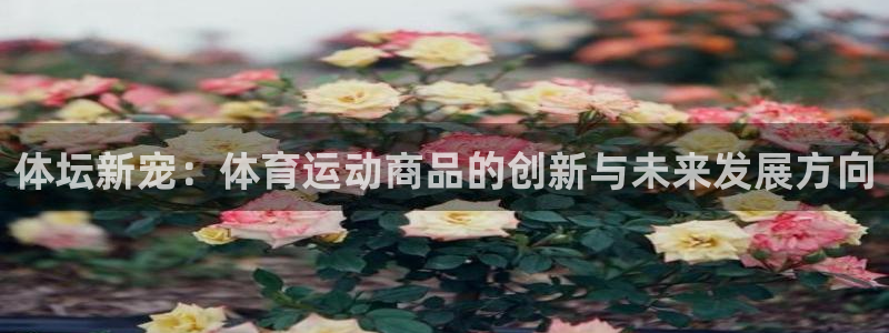 bsport必一运动