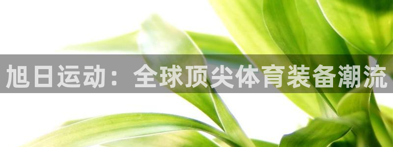 必一运动app