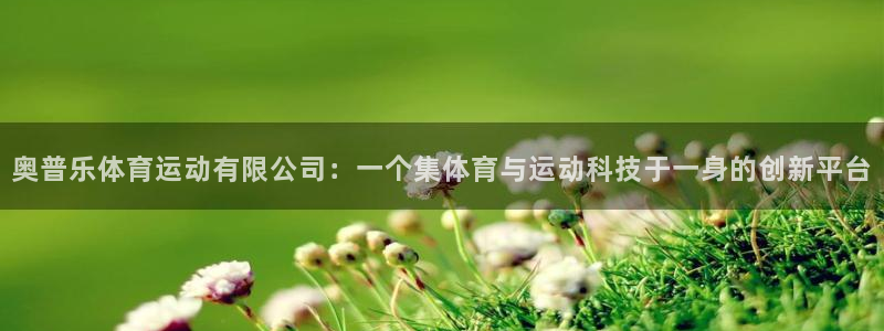 bsport必一运动