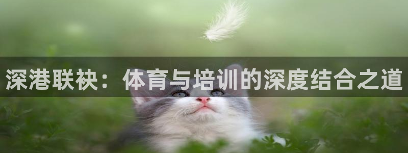 必一运动体育：深港联袂：体育与培训的深度结合之道