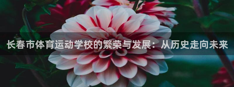 必一运动：长春市体育运动学校的繁荣与发展：从历史走向未来